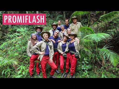Video Thumbnail: Dritter Exit: Wer soll heute das Dschungelcamp verlassen?
