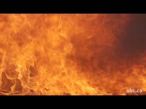 Fire Prevention by Statistics