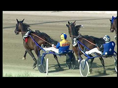 Napoli Trotto 07/09/2021 - 6ª corsa