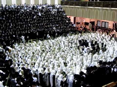 bchatzar bobov, C"k admor m'bobov (48) shlitah, nanuim, hoshana rabah tishrei 5773 (5)