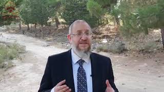 האם מותר לחולים או לאנשים בבידוד לשמוע מוזיקה בימים אלו של בין המיצרים? הרב ירון אשכנזי
