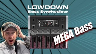 Video thumbnail for THE BEST BASS SYNTH EVER!?? - Lowdown by Cherry Audio by Emlyn In The Mix