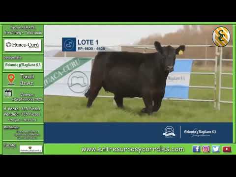 04-09-20 - Remate de Cabaña Huaca Curú - Consignataria Colombo y Magliano S.A.