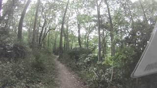 preview picture of video 'Dino 2012 Kenda Mountain Bike Series Race 6 Logansport Indiana Frane Park - Part 2 of 2'