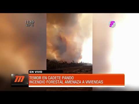 Alarmante situación en la zona de General Bruguéz