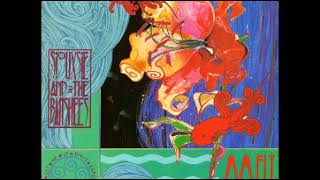 Melt by Siouxsie and the Banshees