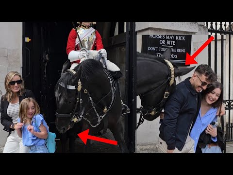 Young Girl Screamed and Push other Tourist as the Horse turns its HEAD!