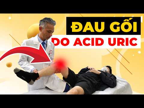 Đau Khớp Gối Do Acid Uric: Sai Lầm Khiến 80% Người Nặng Hơn Mỗi Ngày!