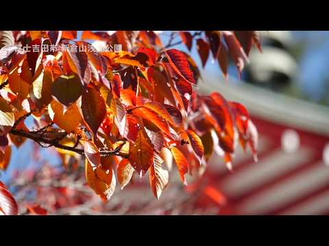 新倉山浅間公園（忠霊塔）秋～Chureito Pagoda in Autumn～