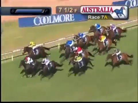 COOLOMORE CLASSIC 2016 - Peeping