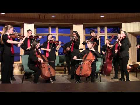 Strawberry Hill Fiddlers: Schulberg