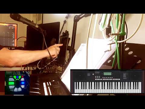 TC Helicon Perform V,Roland E X10 arranger keyboard, Go Pro Hero 9 Media Mod Line In, 3 songs.