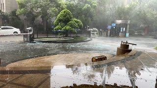 歌ってみたってやつ　小さな恋のうた　もんぱち