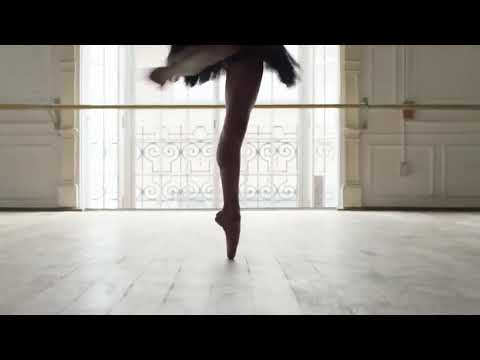 Welchome Presents Snaidero Cucine