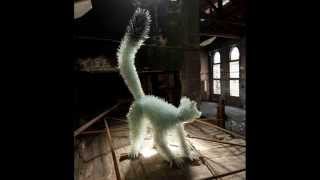 Israël Quellet - Pour pas et frappes sur marches d'escaliers, gaz carbonique expulse