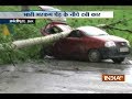 Tree falls onto car in Srinagar, driver injured