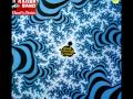 HENRY KAISER BAND- THE LONER