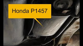 Que es obd p1457 Peugeot