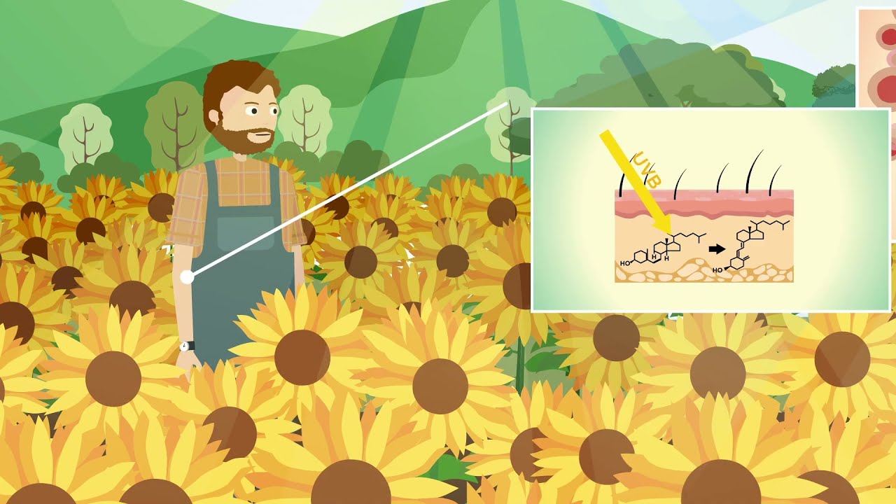 Are radio waves harmful useful or both? Tipseri