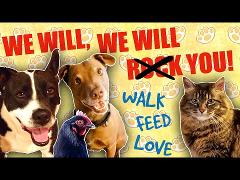Queen - We Will Rock You Parody Song for Pet Owners
