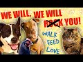 Queen We Will Rock You Parody Song For Pet Owners