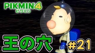 ルーイを探し、王の穴へ【ピクミン４】#21
