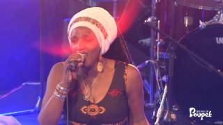 Mo'kalamity & The Wizards "Jah Name" Live at Poupet Festival