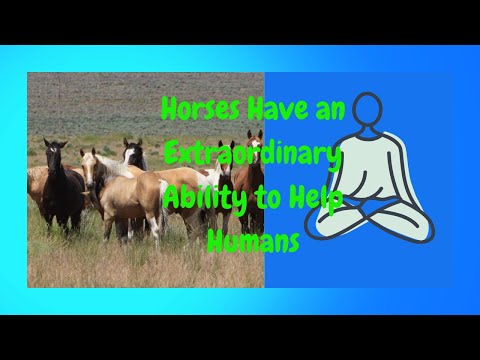 1 HOUR of AMAZING HORSES From Around the World - Best Relax Music, Meditation, Stress Relief, Calm