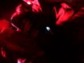 Her Demise My Rise 3