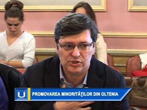 3 Promovarea minoritatilor din Oltenia
