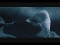 Neil Diamond - Be - Jonathan Livingston Seagull