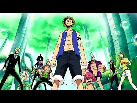 AMV One piece (One Piece OP 11 - Share the World)