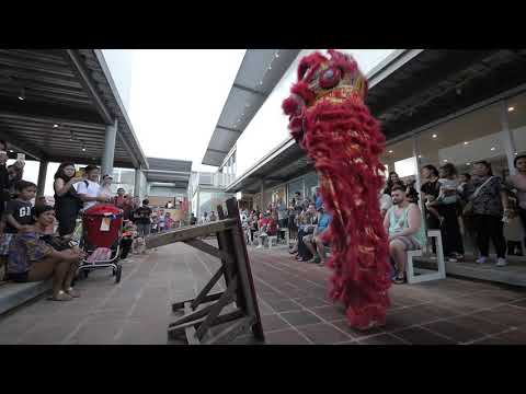 Tamora Gallery - Stage 3 Opening Night