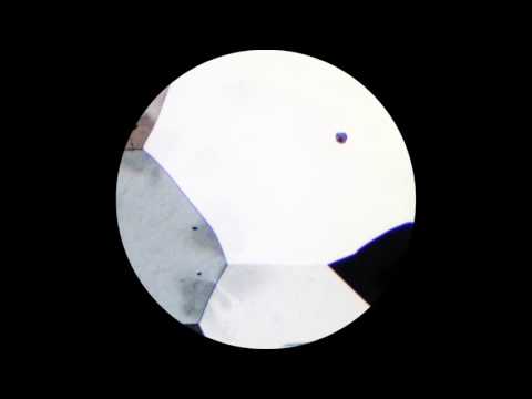 Kemback - Good Night (Omena 2016)