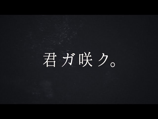 櫻坂46、新メンバーオーディション開催決定!オーディションティザー映像も公開! 3 YouTubeサムネイル