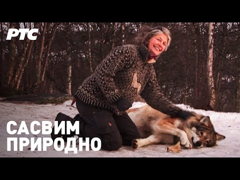 20 godina u prirodi, prvi deo | Sasvim prirodno (Jovan Memedović)