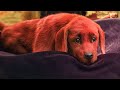 Emily Meets Baby Clifford Scene Clifford The Big Red Dog 2021 Movie Clip