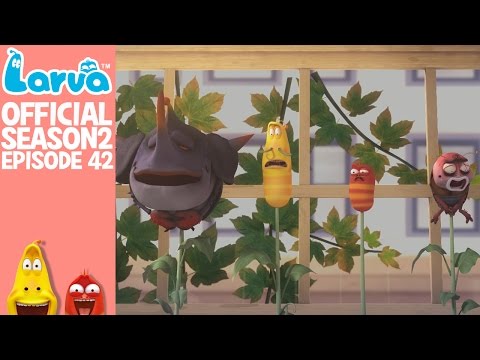 [Official] Beanstalks - Larva Season 2 Episode 42