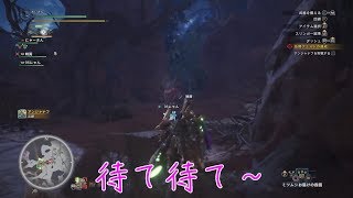[店長とバイトR]モンスターハンター:ワールド　実況[Part20]
