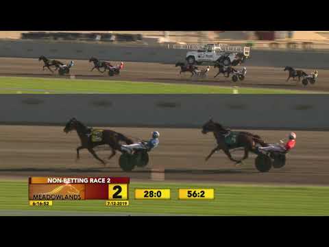 NJSS Final 2yo Fillies Pace - NB RACE 02 - July 12, 2019