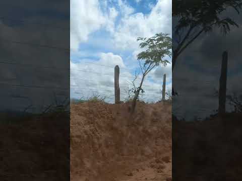 CIDADE DE SANTA ROSA DA SERRA MG