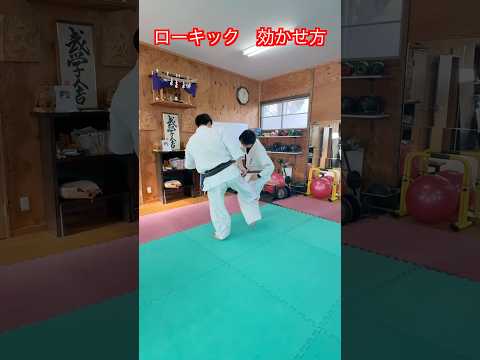 【武道・武術】ローキック・下段蹴りを本当に効かせる方法！細かく解説！？　#aikido ＃karate #martial #武道 #空手＃合気道＃筋トレ#selfdefens