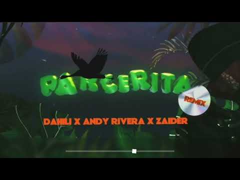 Dahili ☆ Andy Rivera ☆ Zaider Parcerita Remix (Acapella Edit)