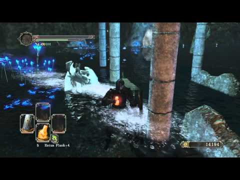 Dark Souls 2: Shield Only Challenge 14 - I've been dreading this place since forever!