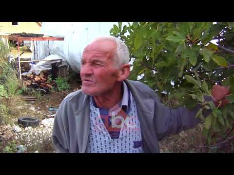 Ngjitur me parkun natyror te Viroit, lagjia me 40 familje ne Gjirokaster si ne mesjete| ABC News