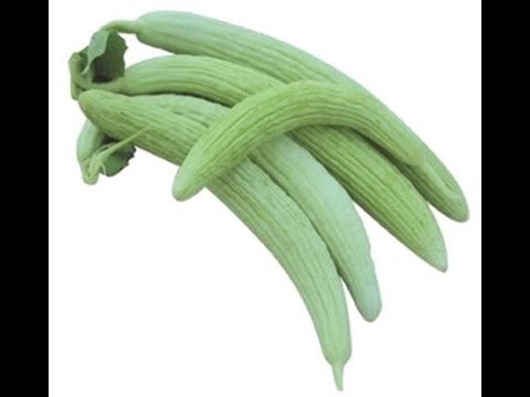 Armenian Cucumber Nutrition (English)