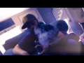 Jelly Roll & Lil Wyte "Smoke & Get High" (OFFICIAL VIDEO Prod. by t.stoner]