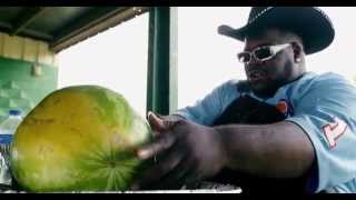 BIGG ROBB VIDEO- BLUES N BBQ Feat Denise Lasalle