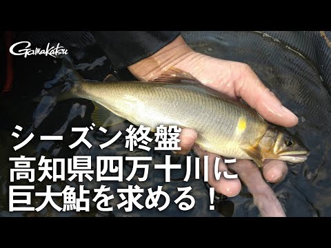 【G WORLD】#3 シーズン終盤 高知県四万十川に巨大鮎を求める！