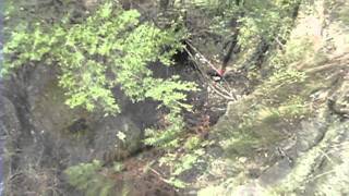 Spirit of The Land - A Misty Walk Through the Blue Mountains